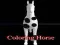 لعبة Coloring horse على الانترنت