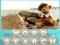 لعبة Word Search على الانترنت