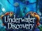 لعبة Underwater Discovery على الانترنت