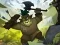 لعبة Clash of Warriors على الانترنت