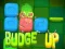 لعبة Budge Up على الانترنت
