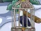 لعبة The Bald Eagle Escape على الانترنت
