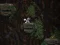 لعبة Cave Descent على الانترنت