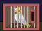 لعبة Release The Cockatiel Bird على الانترنت