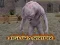 لعبة Highwarrior على الانترنت