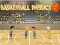 لعبة Basketball Physics على الانترنت