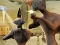 لعبة Alien Onslaught على الانترنت