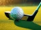 لعبة Golf Brawl على الانترنت