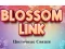 لعبة Blossom Link على الانترنت