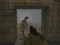 لعبة Silent Asylum 2 على الانترنت