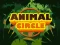 لعبة Animal Circle على الانترنت