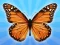 لعبة MergeButerfly: 2048! على الانترنت