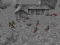 لعبة Stickman Ww2 Battle Simulator على الانترنت