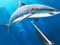 لعبة Hunting Underwater Spearfishing على الانترنت