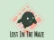 لعبة Lost In The Maze على الانترنت