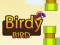 لعبة Birdy Bird على الانترنت