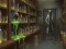 لعبة Bloodbound Zombie Escape على الانترنت