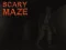 لعبة Scary Maze 3D على الانترنت