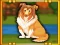 لعبة Bernese Mountain Dog Escape على الانترنت