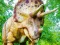 لعبة Giant Triceratops Puzzle على الانترنت