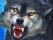 لعبة Wolf Hunter على الانترنت