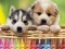 لعبة 4GameGround Puppy Coloring على الانترنت