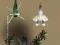 لعبة Raptor Combat على الانترنت