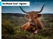 لعبة Scotland Beef Jigsaw على الانترنت