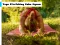 لعبة Yoga Stretching Calm Jigsaw على الانترنت