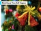 لعبة Christmas Tree Bell Jigsaw على الانترنت