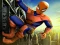 لعبة Spider Skate على الانترنت