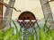 لعبة Coconut Basketball على الانترنت