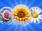 لعبة Dice Puzzle Flowers! على الانترنت