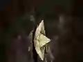 لعبة It enter the sewer على الانترنت