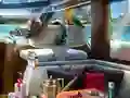 لعبة Caribbean Crime على الانترنت
