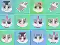 لعبة Cat Story 2048 على الانترنت
