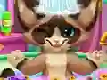 لعبة Kitten Bath على الانترنت