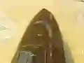 لعبة Boat Attack على الانترنت