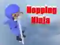 لعبة Hopping Ninja على الانترنت