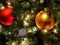 لعبة Find The Child Toy على الانترنت