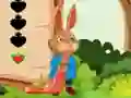 لعبة Squirrel Escape على الانترنت