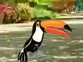 لعبة Find Woodpecker Pair على الانترنت