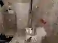 لعبة Occupied على الانترنت