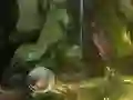 لعبة Rescue The King Rat على الانترنت
