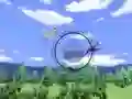 لعبة Wii Sports Birdwatching على الانترنت