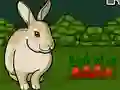 لعبة Rescue The Grey Rabbit على الانترنت