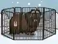 لعبة Rescue The Musk Ox على الانترنت