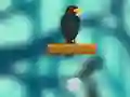 لعبة Crow Smasher على الانترنت
