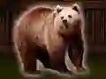 لعبة Save The Grizzly Bear على الانترنت
