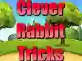 لعبة Clever Rabbit Tricks على الانترنت